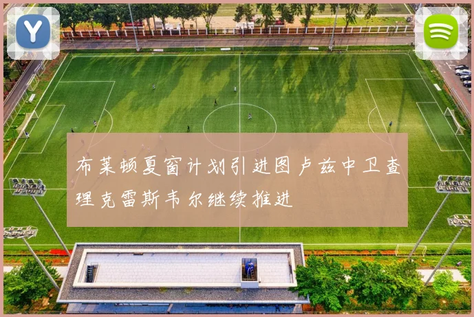 布莱顿夏窗计划引进图卢兹中卫查理克雷斯韦尔继续推进