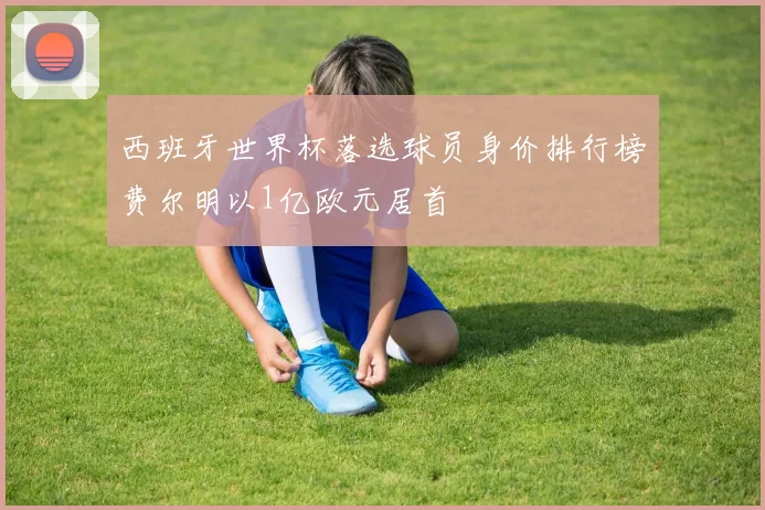 西班牙世界杯落选球员身价排行榜费尔明以1亿欧元居首